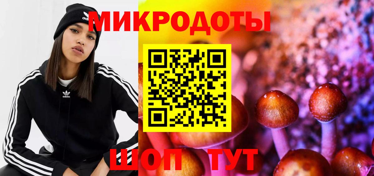 Галлюциногенные грибы MAGIC MUSHROOMS  Вход с VPN  Спасск-Дальний 