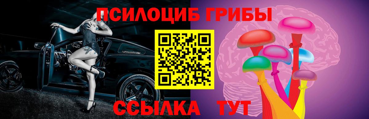 Псилоцибиновые грибы GOLDEN TEACHER Спасск-Дальний